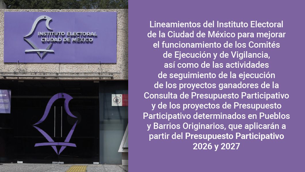 Lineamientos del IECM