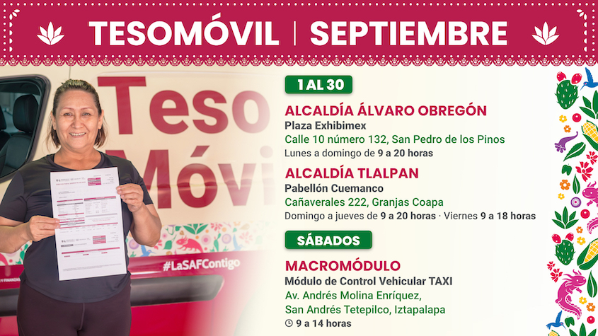 <h4>Tesomóvil</h4>