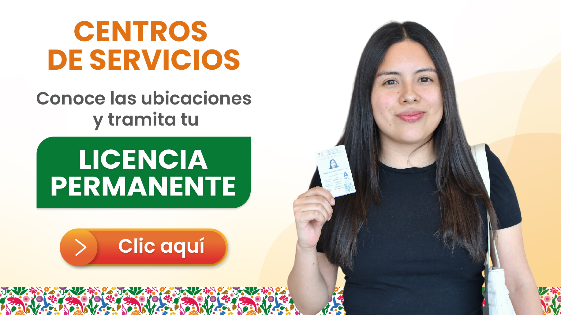 <h4>Centros de Servicio</h4>