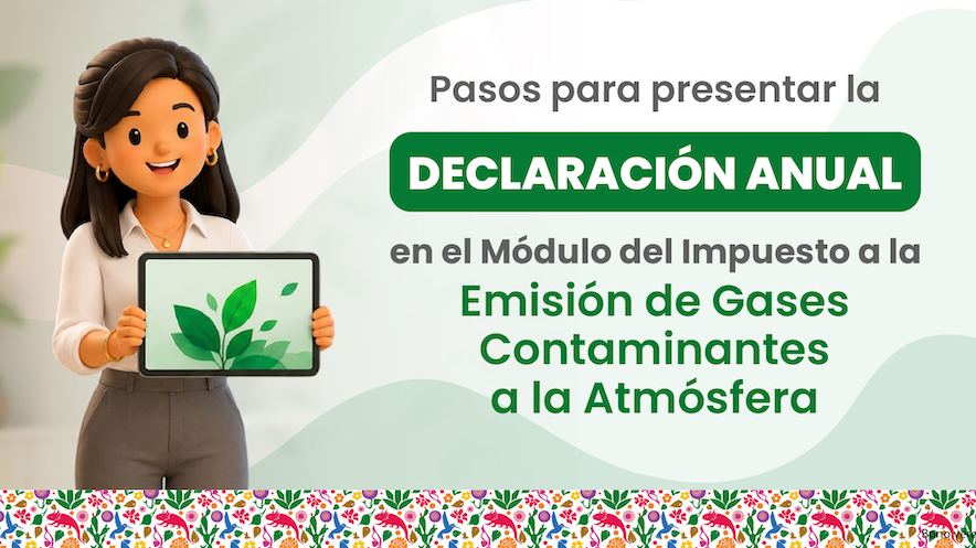 <h4>Declaración Anual</h4>
