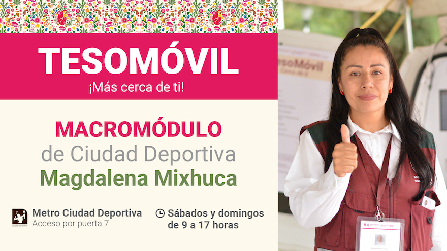 Tesomóvil - Macromódulo