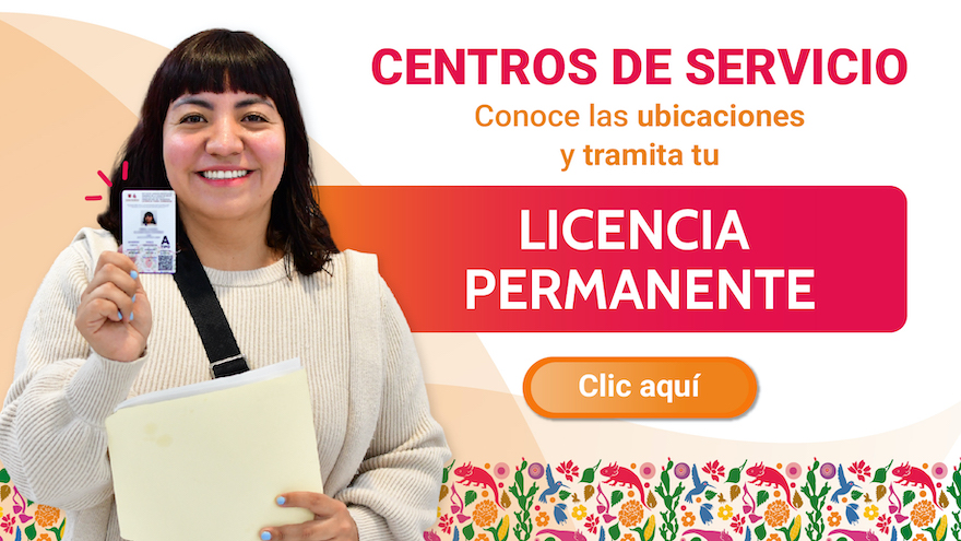 <h4>Centros de Servicio</h4>